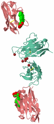 Image Biological Unit 3