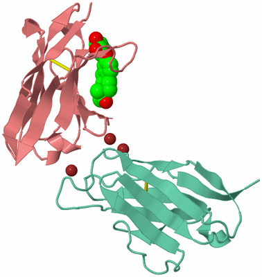 Image Biological Unit 4