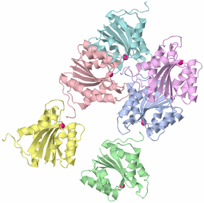 Image Asymmetric Unit