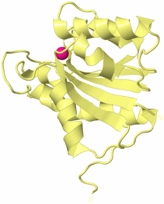 Image Biological Unit 4