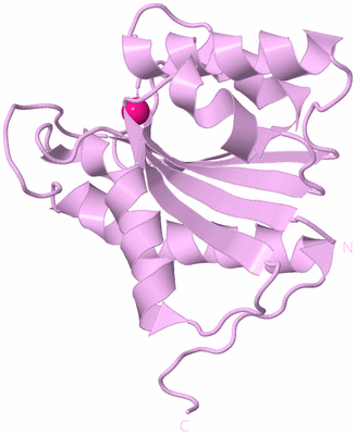Image Biological Unit 5