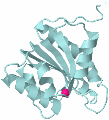 Image Biological Unit 6