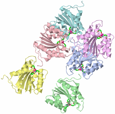 Image Asym. Unit - sites