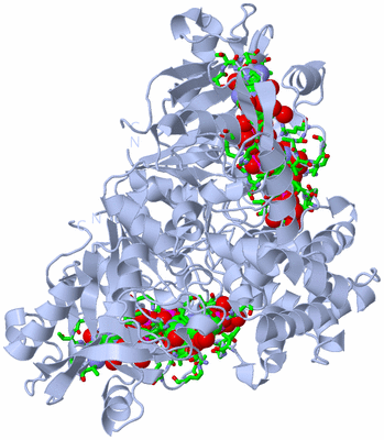 Image Biol. Unit 1 - sites