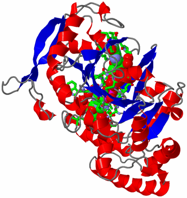 Image Asym. Unit - sites