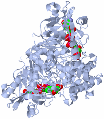 Image Biological Unit 1