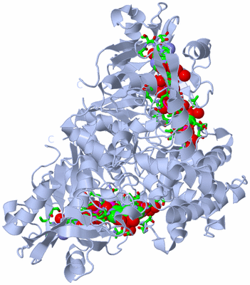 Image Biol. Unit 1 - sites