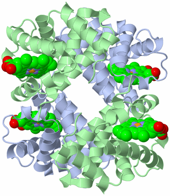 Image Biological Unit 1