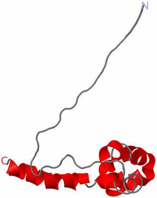 Image NMR Structure - model 1