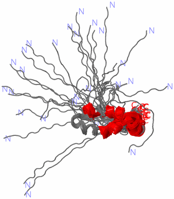 Image NMR Structure - all models