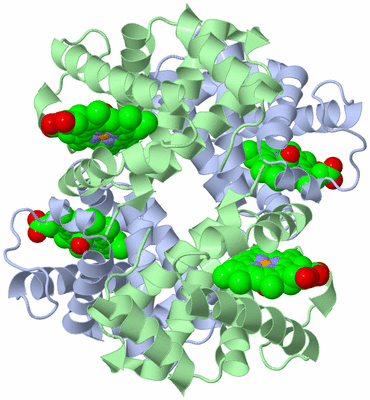 Image Biological Unit 1