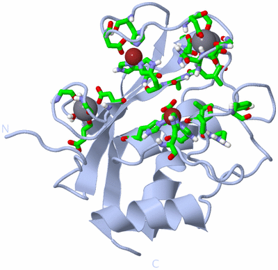 Image Biol. Unit 1 - sites