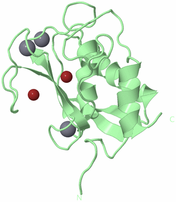 Image Biological Unit 2