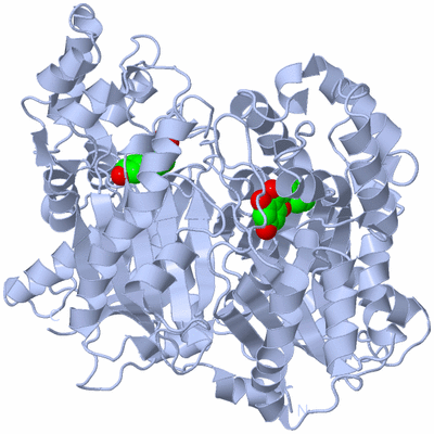 Image Biological Unit 1