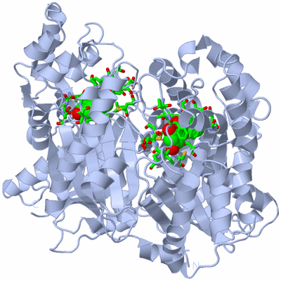 Image Biol. Unit 1 - sites