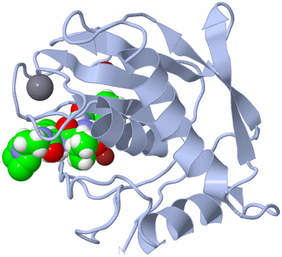 Image Biological Unit 1