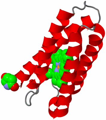 Image Asymmetric Unit