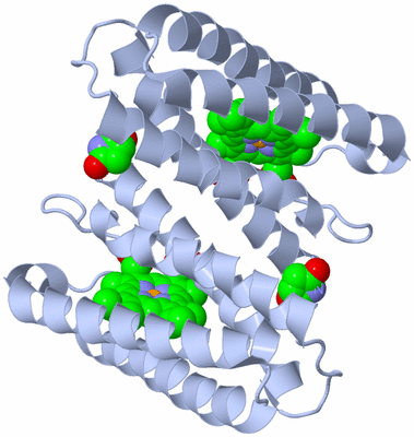 Image Biological Unit 1