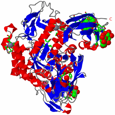 Image Asym./Biol. Unit - sites