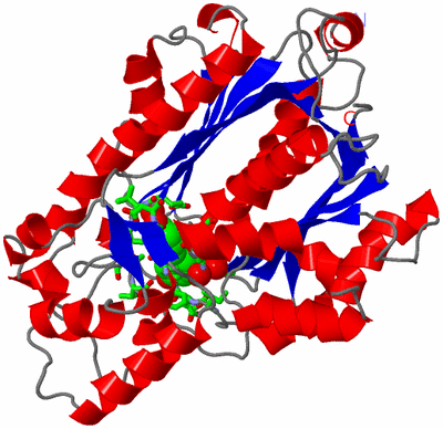 Image Asym. Unit - sites