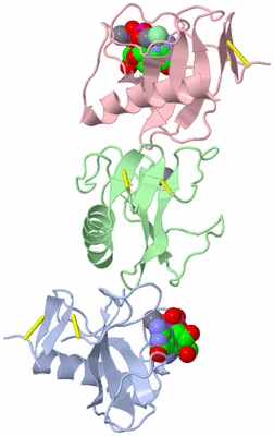Image Asymmetric Unit