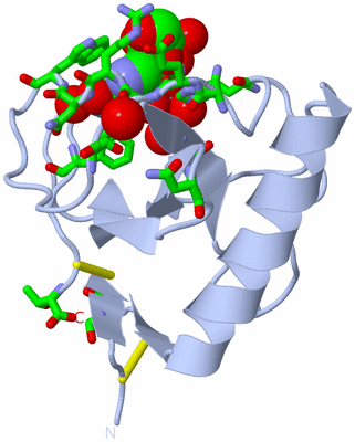 Image Biol. Unit 1 - sites