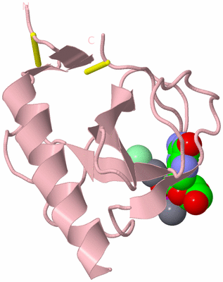 Image Biological Unit 3