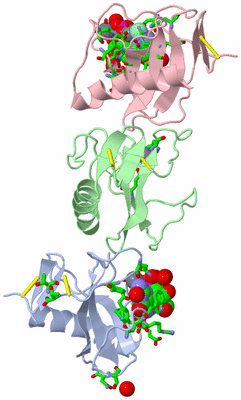 Image Asym. Unit - sites