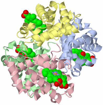 Image Asym./Biol. Unit