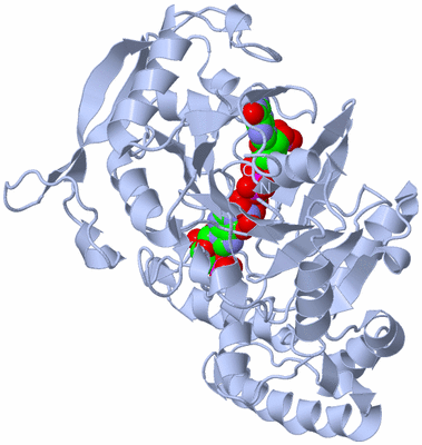 Image Biological Unit 1