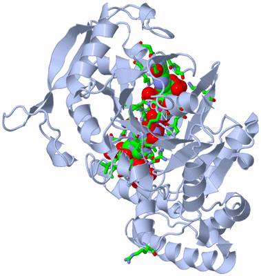 Image Biol. Unit 1 - sites