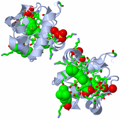 Image Biol. Unit 1 - sites