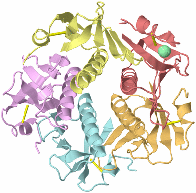 Image Asym./Biol. Unit