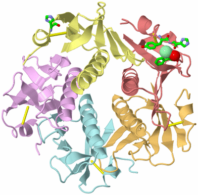 Image Asym./Biol. Unit - sites