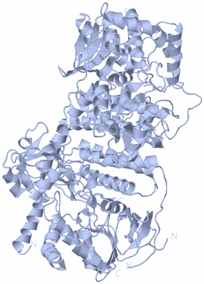 Image Biological Unit 1