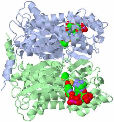 Image Biological Unit 2