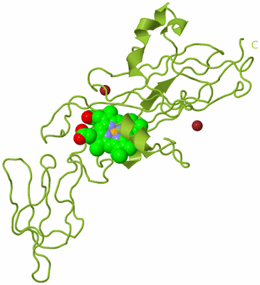 Image Biological Unit 1