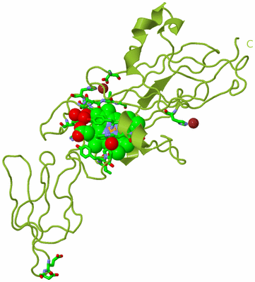 Image Biol. Unit 1 - sites