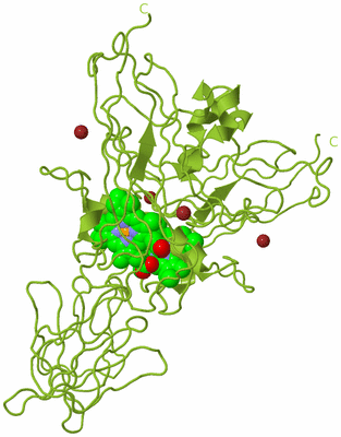 Image Biological Unit 3