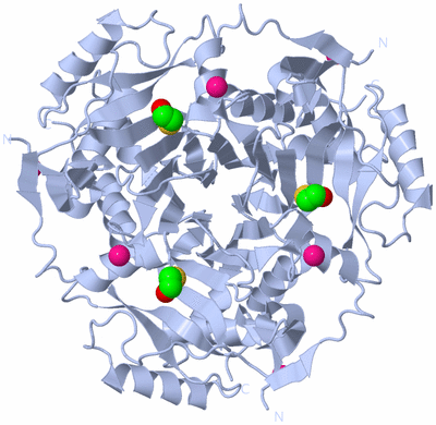 Image Biological Unit 1