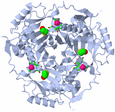 Image Biol. Unit 1 - sites