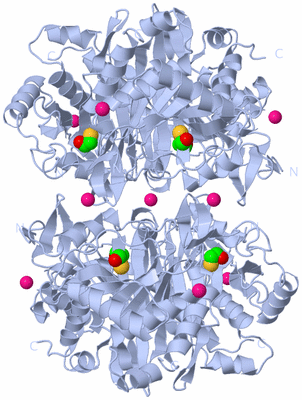 Image Biological Unit 2