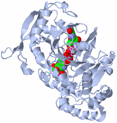 Image Biological Unit 1