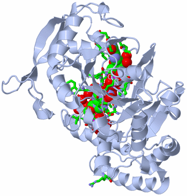 Image Biol. Unit 1 - sites