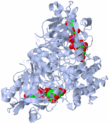 Image Biological Unit 2