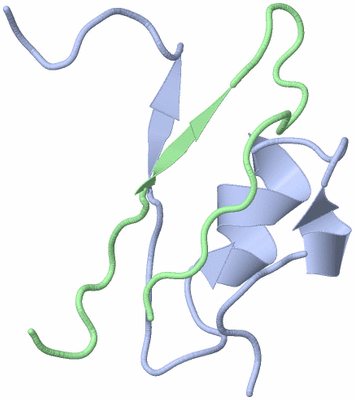 Image NMR Structure - model 1