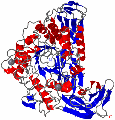 Image Asym./Biol. Unit