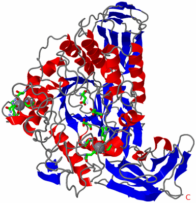 Image Asym./Biol. Unit - sites