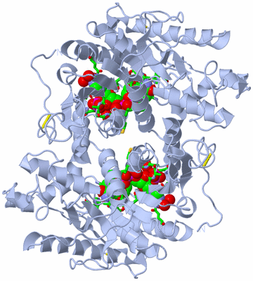 Image Biol. Unit 1 - sites