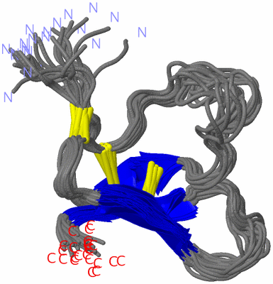 Image NMR Structure - all models